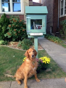 Little Free Library. Credit: Edgewater Reads / Facebook