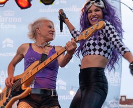 Grab A Cocktail And Some Takeout For The Virtual Andersonville Midsommarfest