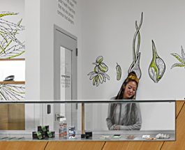Andersonville’s Marijuana Experts Set To Open New Location With 2X The Space