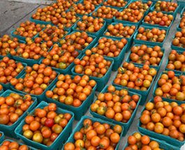 Andersonville Farmer’s Market Is Back With Eased Restrictions