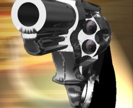 Lyft Driver Ambushed And Shot During Burglary On Wolcott Ave.