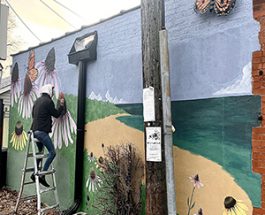 New Andersonville Mural Brings A Bit Of Summer To The Area