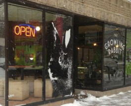 Popular Rogers Park Restaurant ‘The Growling Rabbit’ Makes Move To Bigger Edgewater Space
