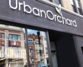 Urban Orchard Closing, May Be Replaced By Corporate Chain Chipotle